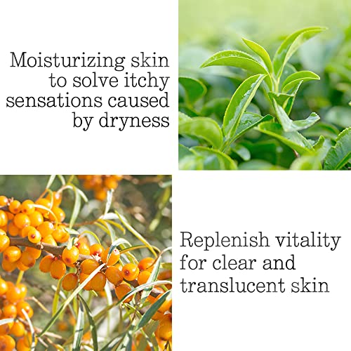 Pyunkang Yul Low pH Feminine Wash with Green Tea, Cica, Moisturizing for Women Vaginal Health